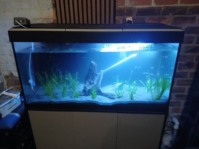 Roma 200l fish tank 