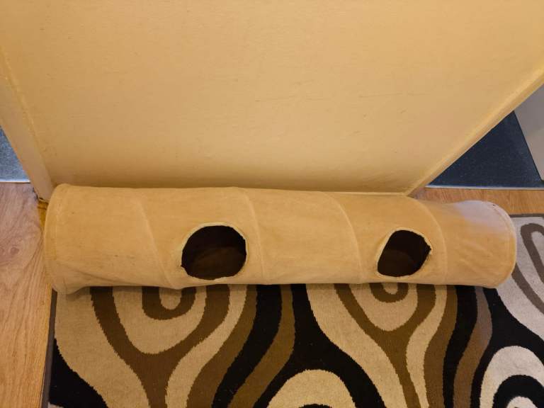 Cat Tunnel