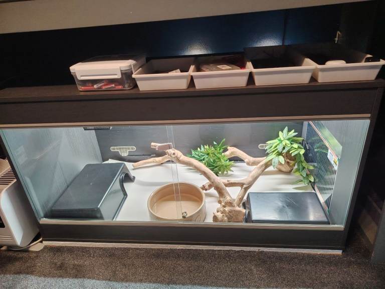 Fully kitted 4x2x2 vivarium all in excellent condition 