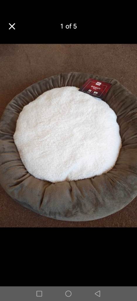 New pet bed