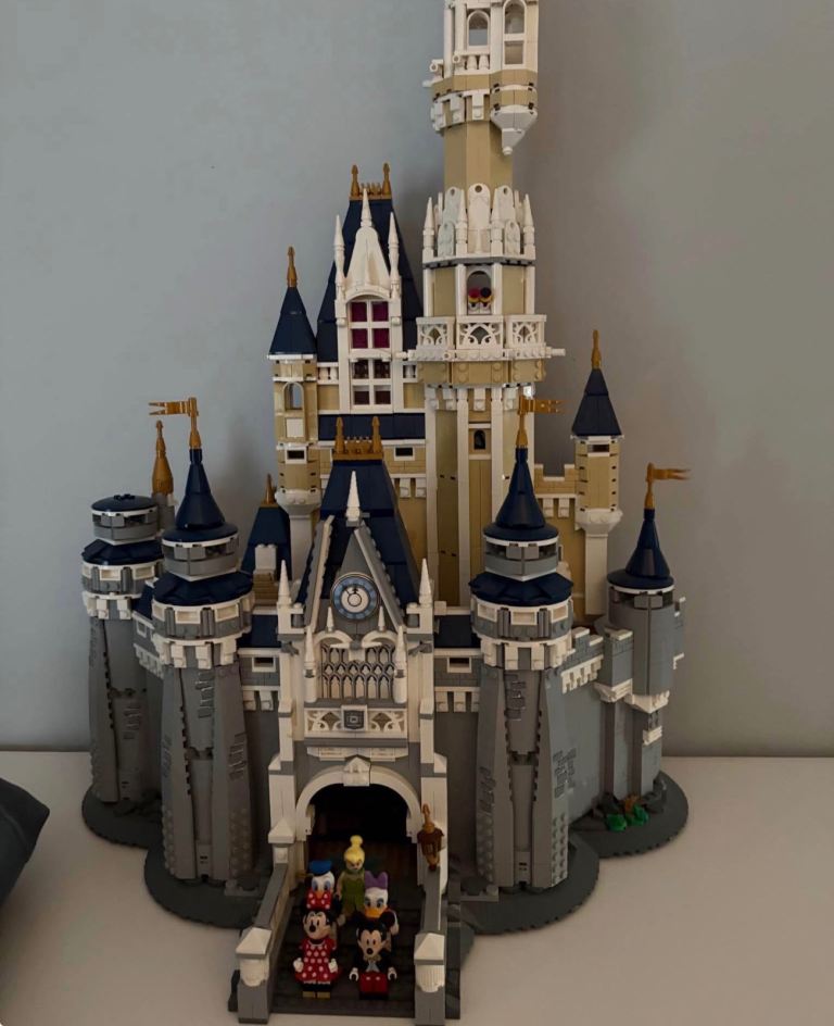 Lego Disney house