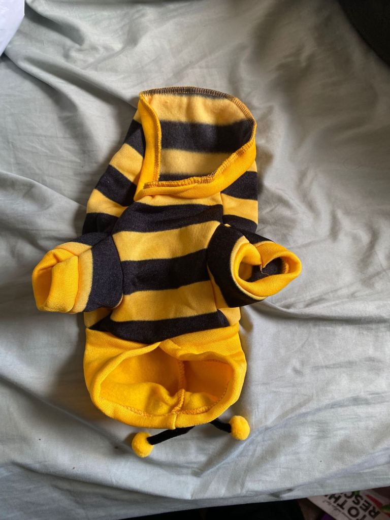 Bee costume for small dog