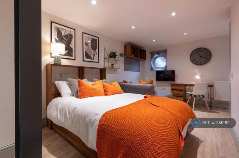 Studio flat in Rodney Street, Liverpool, L1 (#2861621)