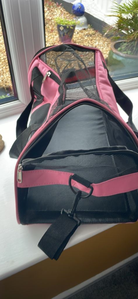 Pet carrier 
