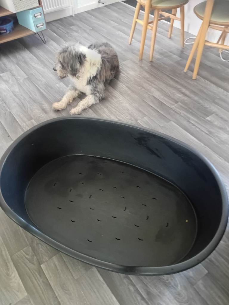 Extra large plastic dog bed