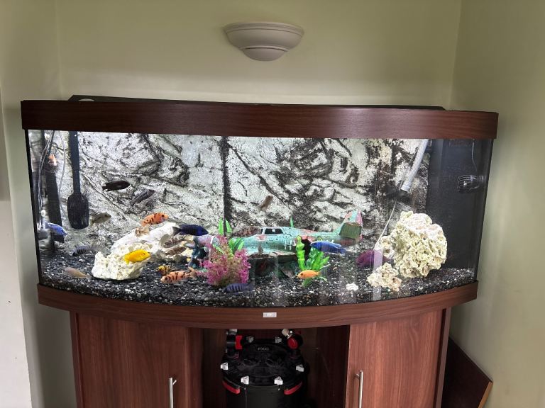 450 Juwel fish tank, with fx6, lights, heaters, controls, EVERYTHING