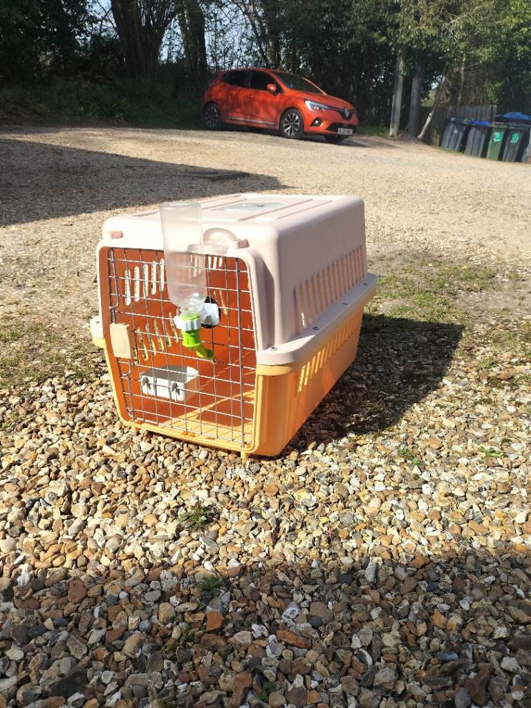 Small dog or cat cage suitable for air travel.