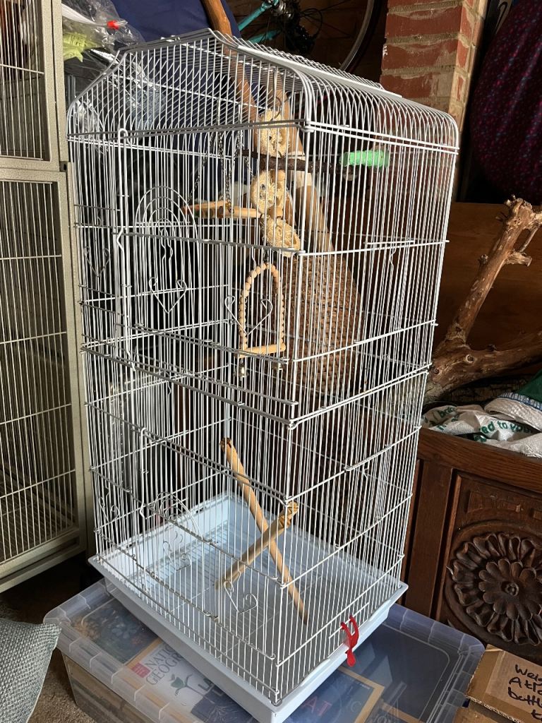 Bird cage