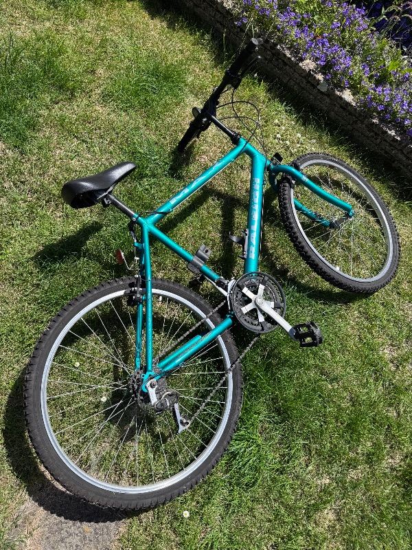 Raleigh Max