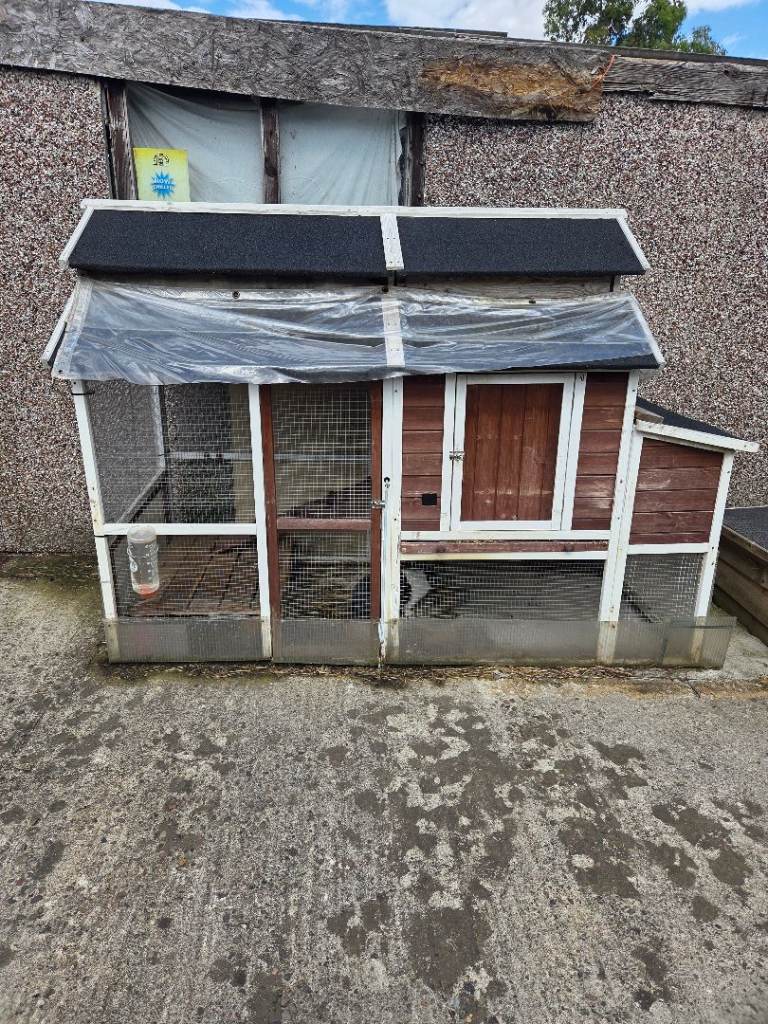 Chicken Coop/Rabbit Hutch 