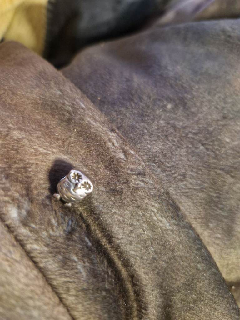 Genuine pandora charms 