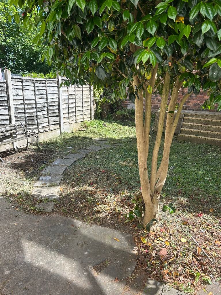 Large Modern double room 