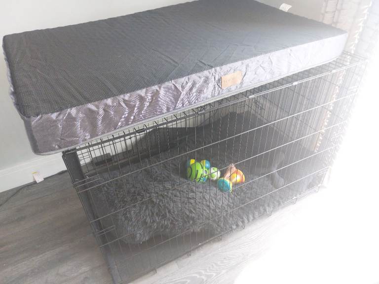 XXL DOG CAGES