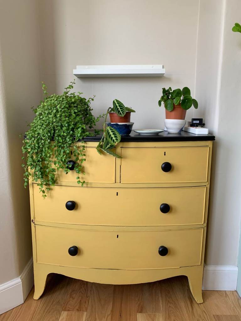 Antique mustard yellow bow fronted chest of drawers
