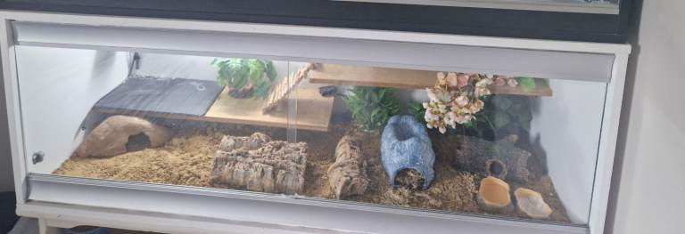 4ft viv 