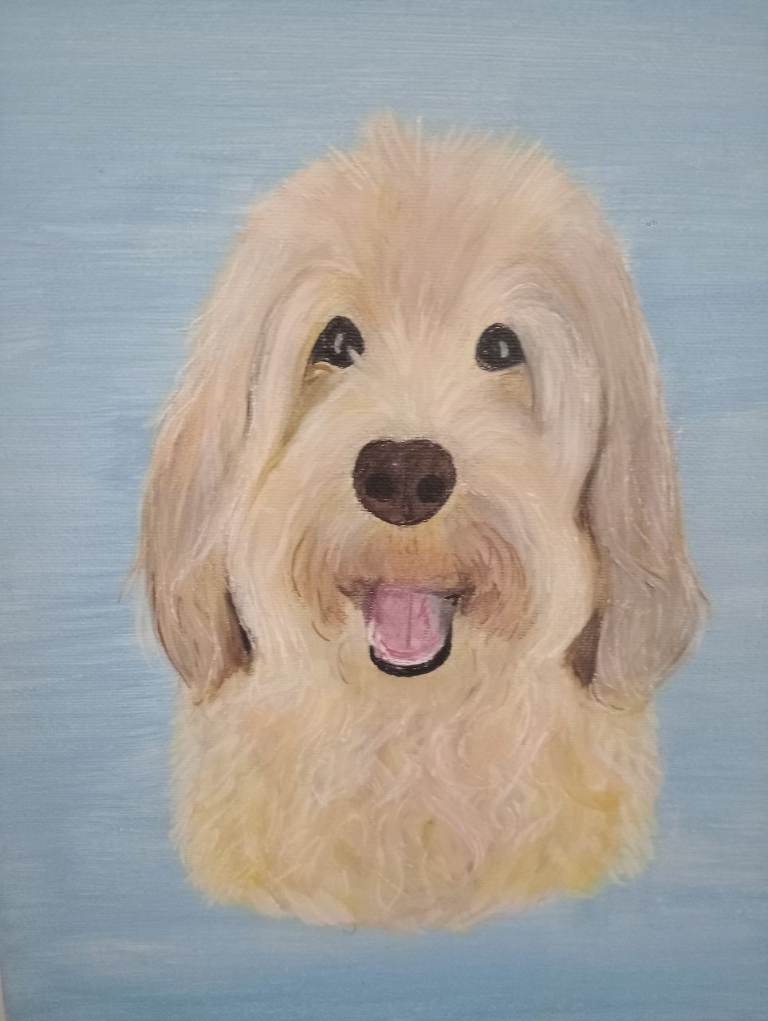 Pet Portraits 