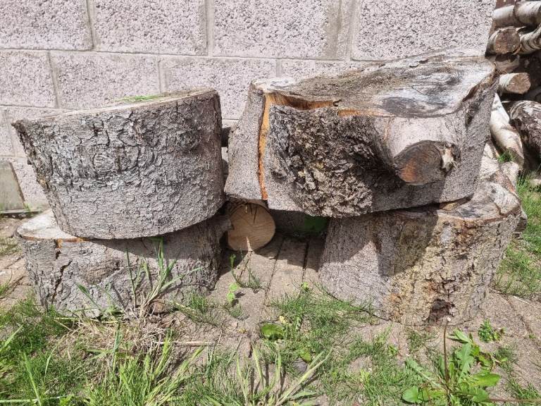 Logs