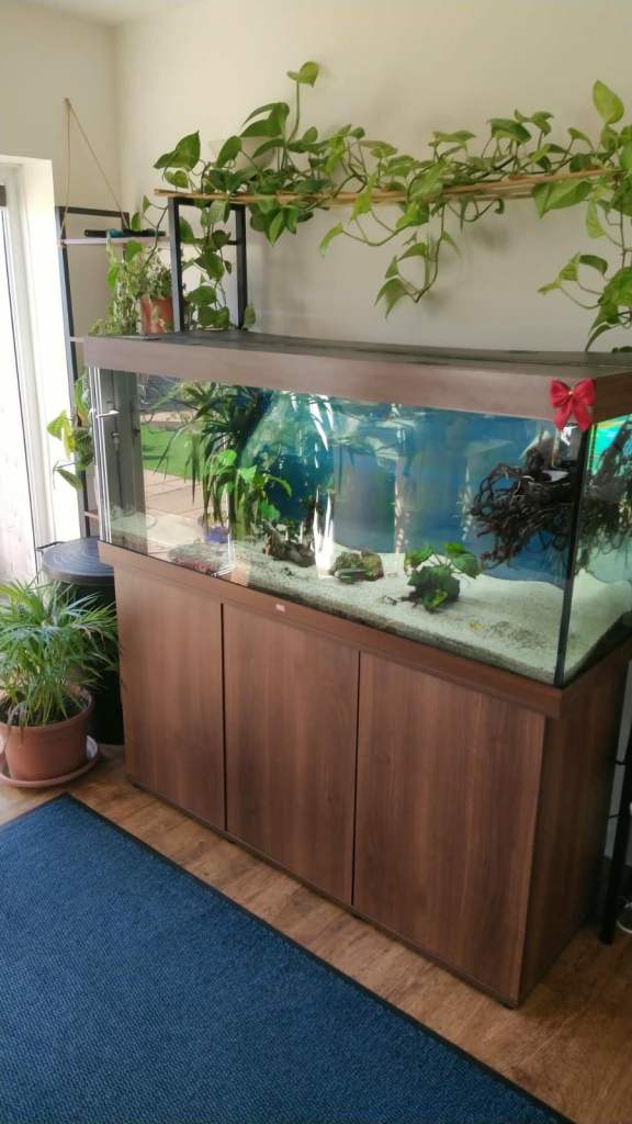 Juwel RIO 450 Aquarium – 450L