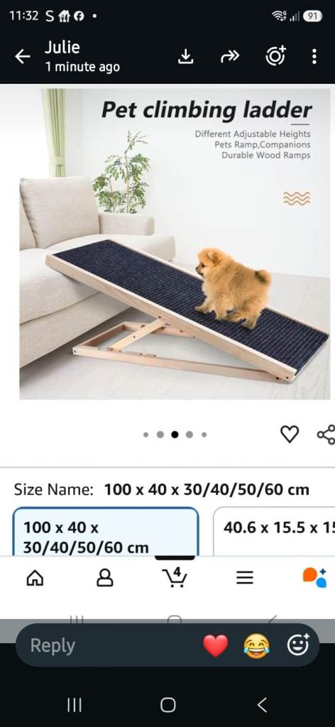 Dog ramp