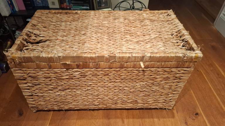Ratten Storage Chest Trunk Storage Tidy 