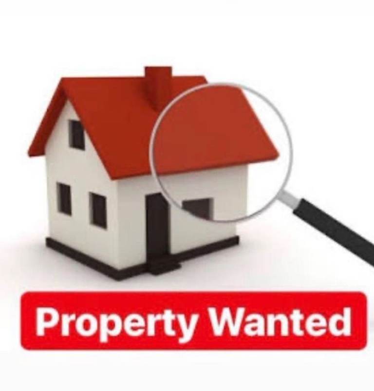 3 bedroom house needed to rent 