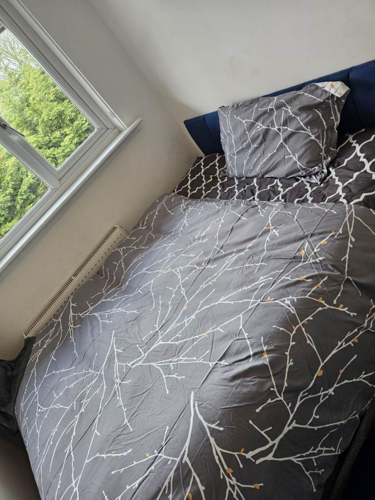 single room for rent in livindston