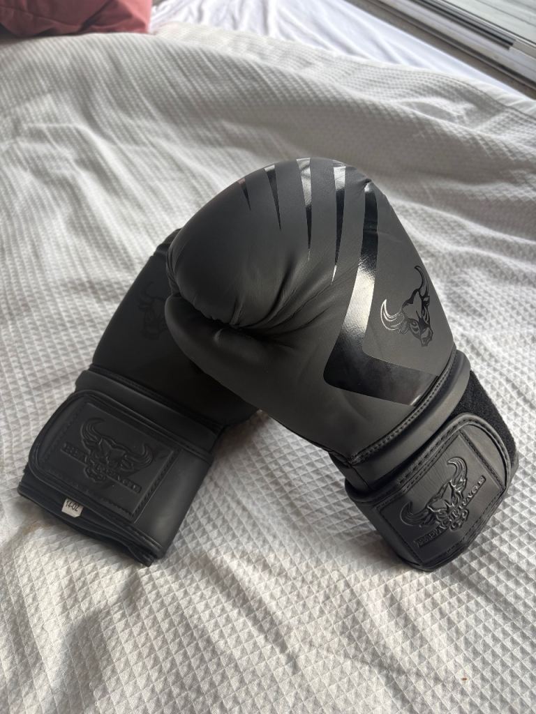 Boxing / Muay Thai gloves 