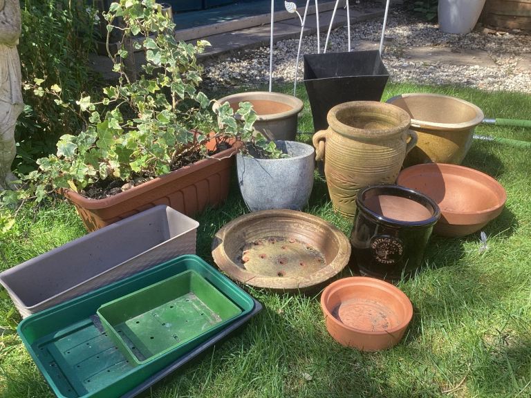 Selection of pots , screen and seed trays 