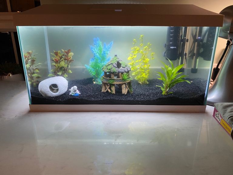 Fish Tank, Aquael LEDDY 60, Light, Heater, Filter, ornaments, plants + Extras – Ready to Go! 🐠✨