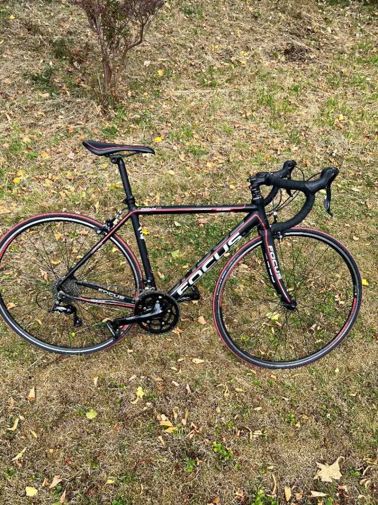 Focus culebro road bike