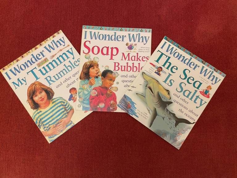 I Wonder Why books,  3 books from the series: My Tummy Rumbles, The Sea is Salty, Soap Makes Bubbles