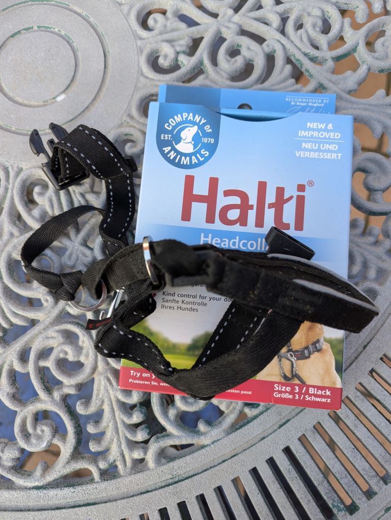 Halti Head collar