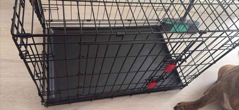 Kong dog crate 
