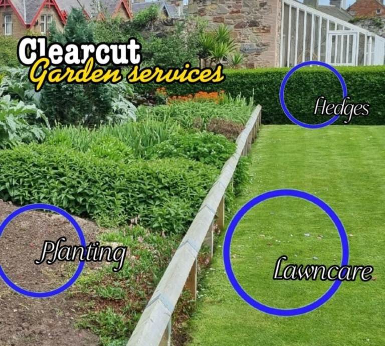 Garden maintenance/clearance 