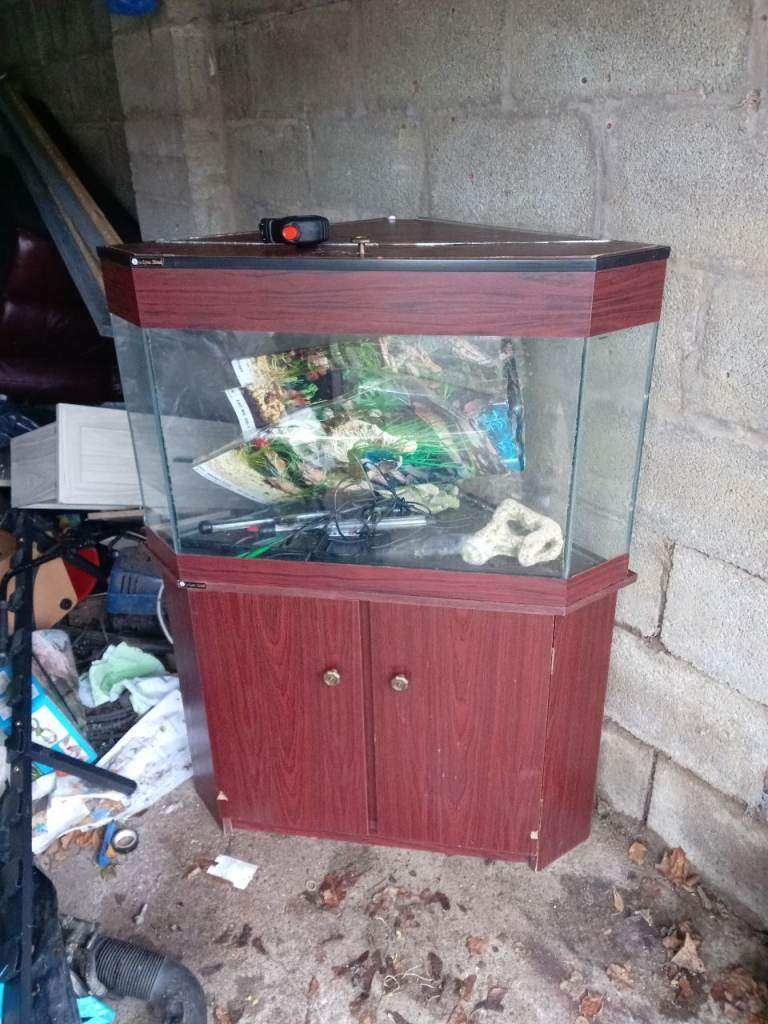 corner fish tank