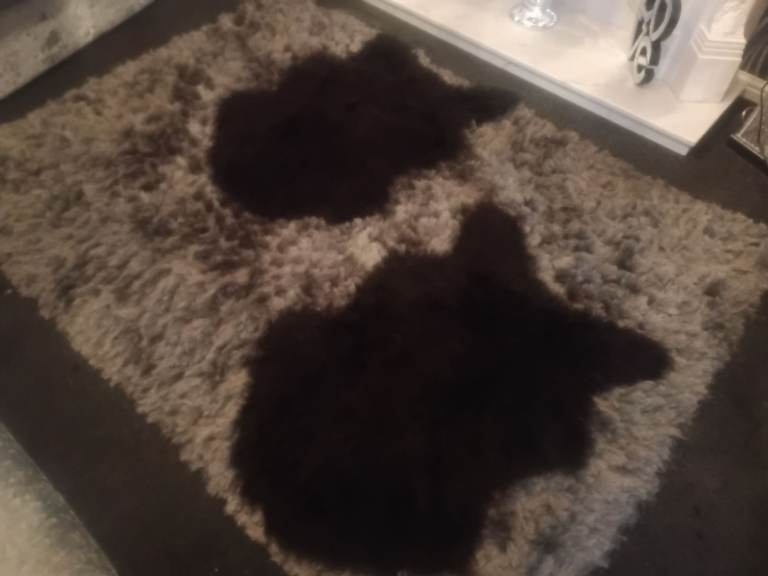 2 sheep skin rugs