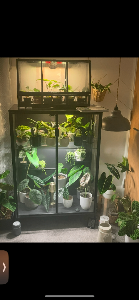 IKEA Indoor Plant Cabinet with 7x Barrina T5 Grow Lights
