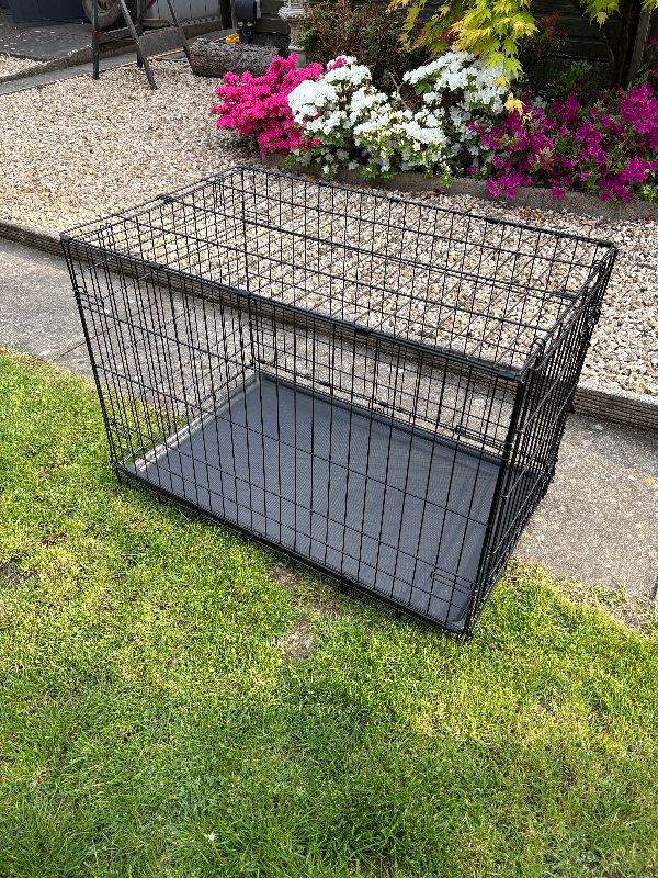 large dog cage