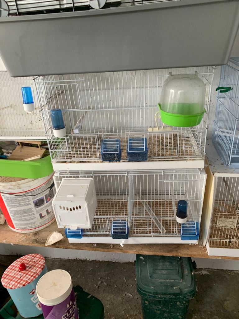 Bird cages and accessories 