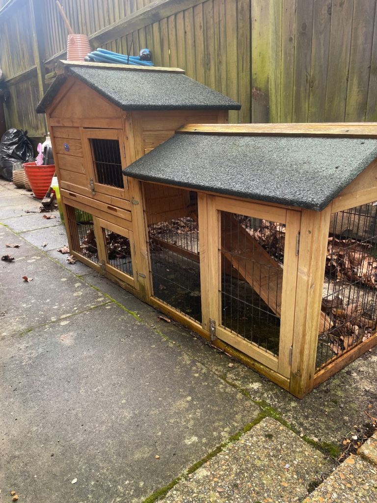 Guinea pig hutch