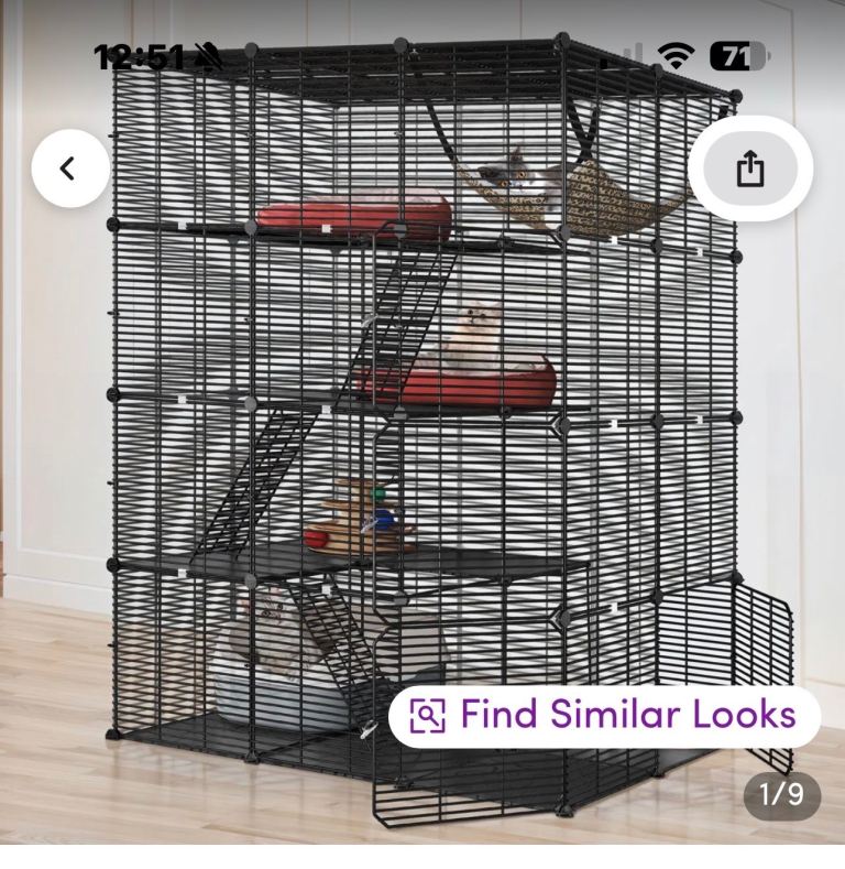 Catio