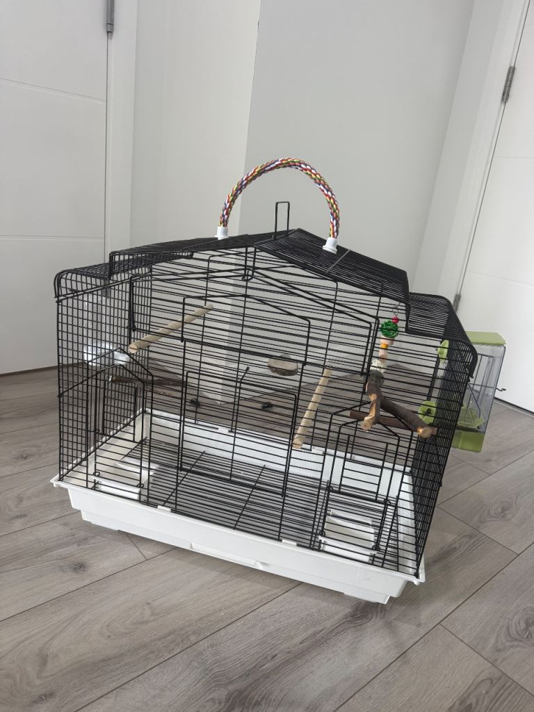 Bird cage for sale 