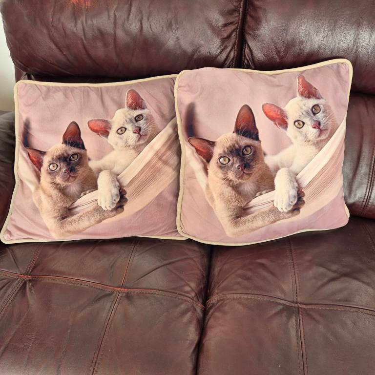 Pair of Cat Cushions