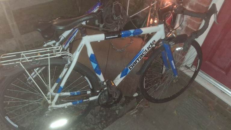 Adults bike 