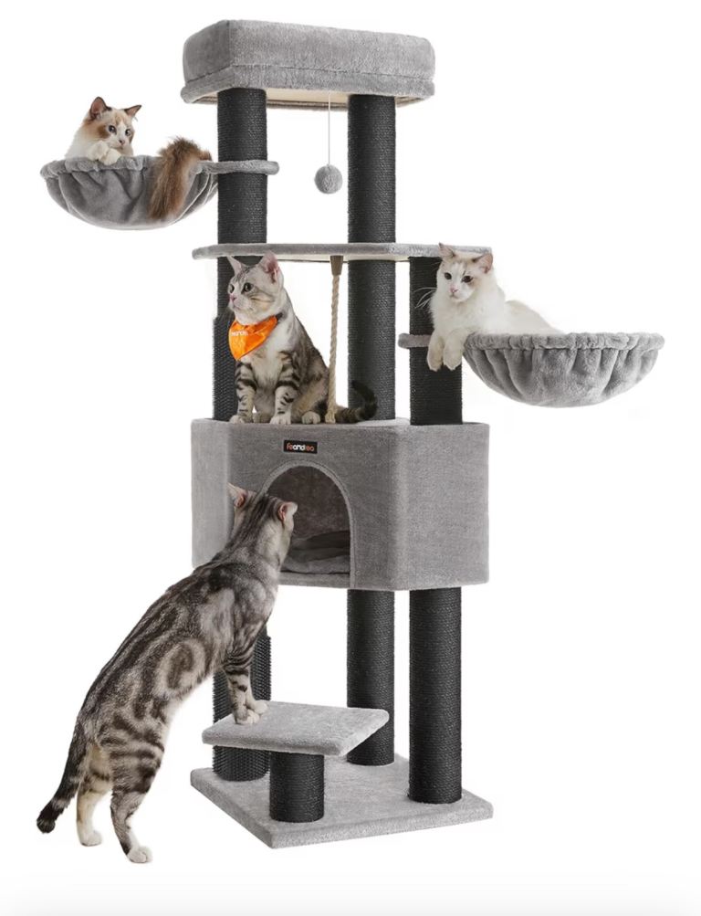Cat Tree 