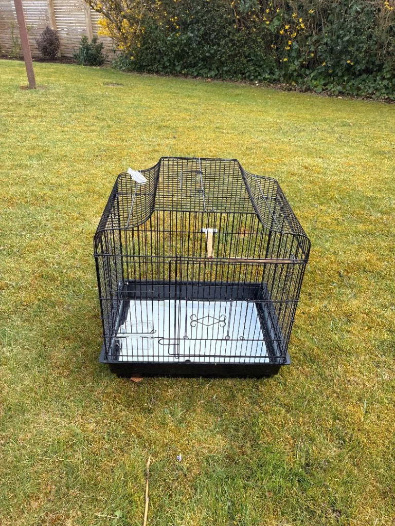 Budgie cage
