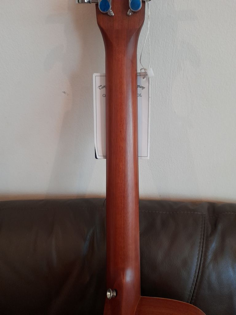 Tanglewood TWR2 SFCE