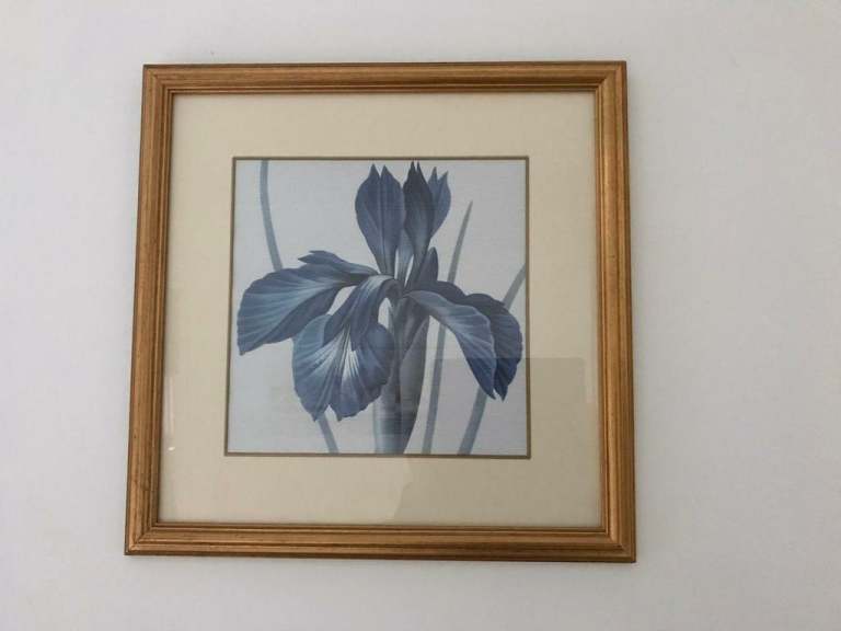 Blue iris flower print M&S 41x41 cm