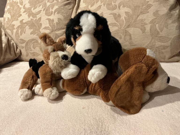 Cuddly dogs toys