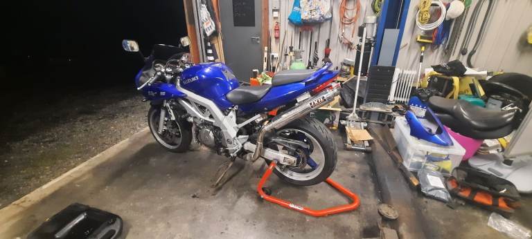 Suzuki sv1000s